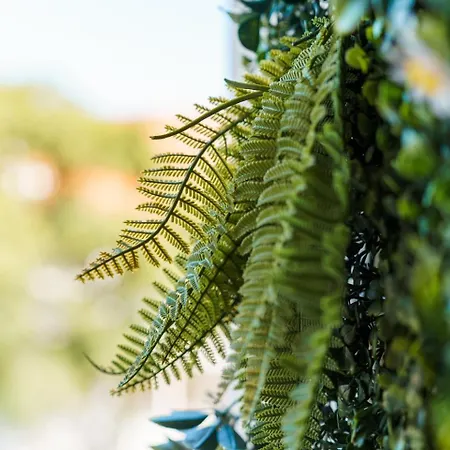 Lägenhet Guestready - Near Historic Reis Magos Caniço