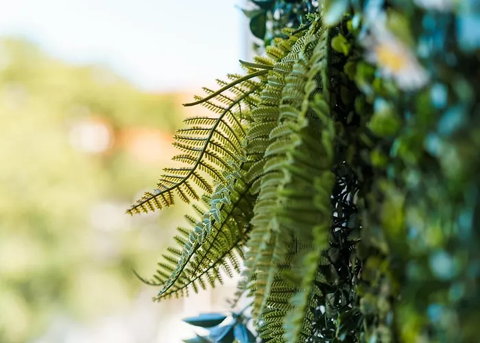 Apartmán Guestready - Near Historic Reis Magos Caniço